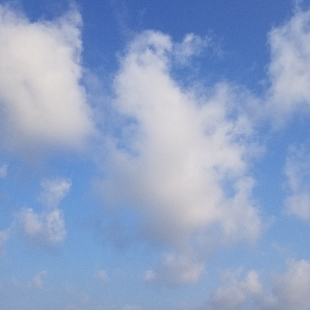 Meet your Posher, HK